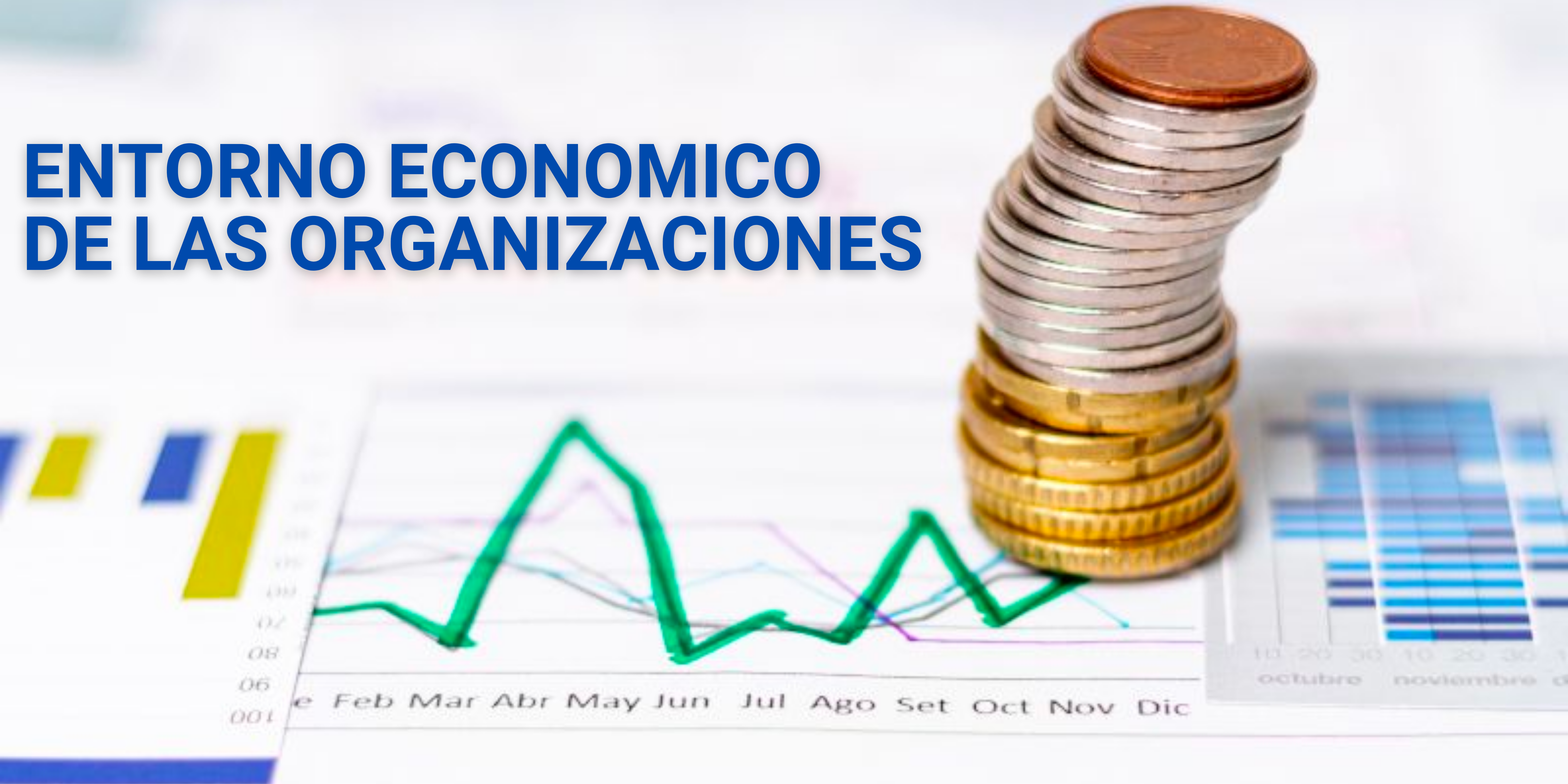 ENTORNO ECONOMICO DE LAS ORGANIZACIONES sección 01 ciclo 01/2022