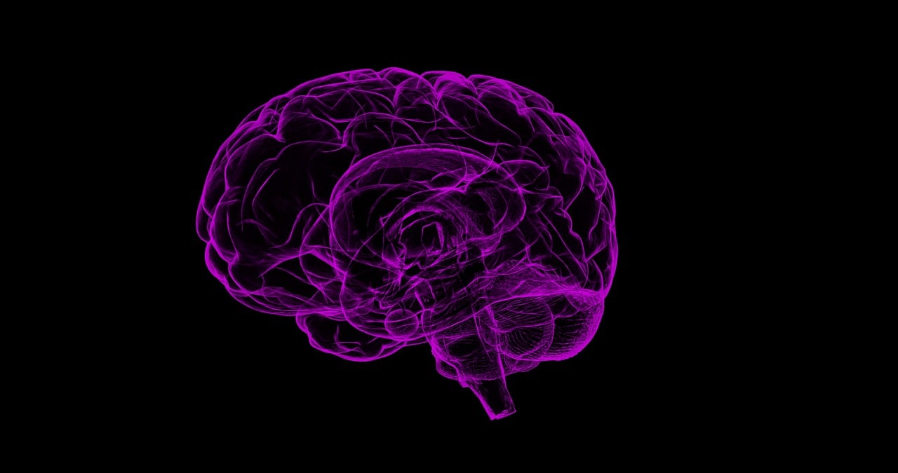 NEUROCIENCIA DEL APRENDIZAJE DEL LENGUAJE sección 01 ciclo 02/2023