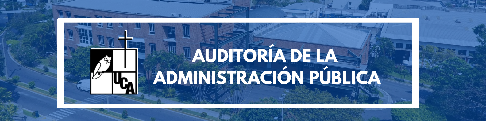 AUDITORÍA DE LA ADMINISTRACIÓN PÚBLICA sección 01 ciclo 01/2024