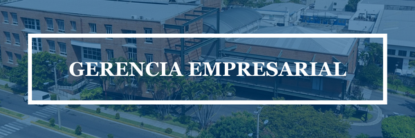 GERENCIA EMPRESARIAL sección 01 ciclo 01/2024