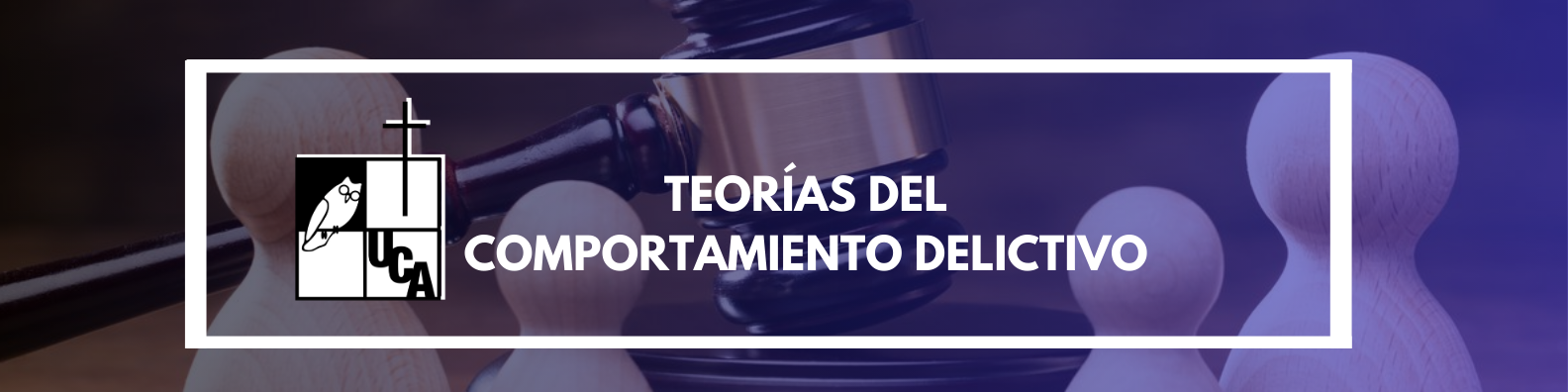 TEORÍAS DEL COMPORTAMIENTO DELICTIVO sección 01 ciclo 01/2024