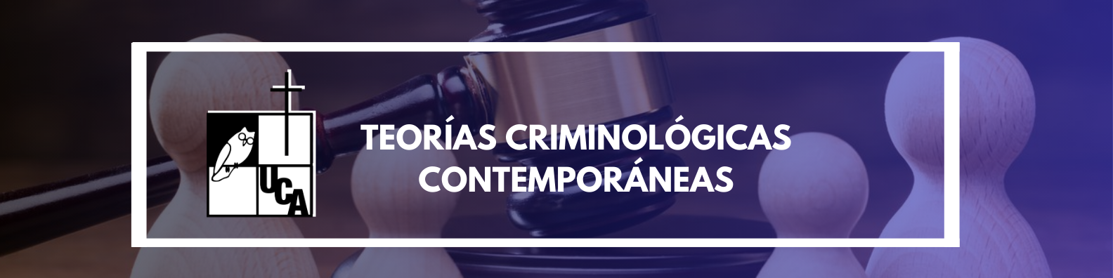 TEORÍAS CRIMINOLÓGICAS CONTEMPORÁNEAS sección 01 ciclo 01/2024