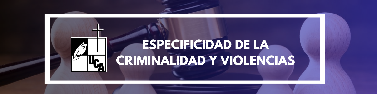 ESPECIFICIDAD DE LA CRIMINALIDAD Y VIOLENCIAS sección 01 ciclo 01/2024