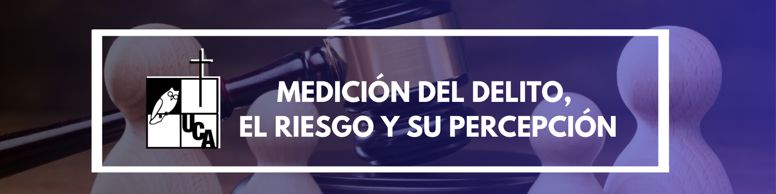 MEDICION DEL DELITO, EL RIESGO Y SU PERCEPCION sección 01 ciclo 01/2024