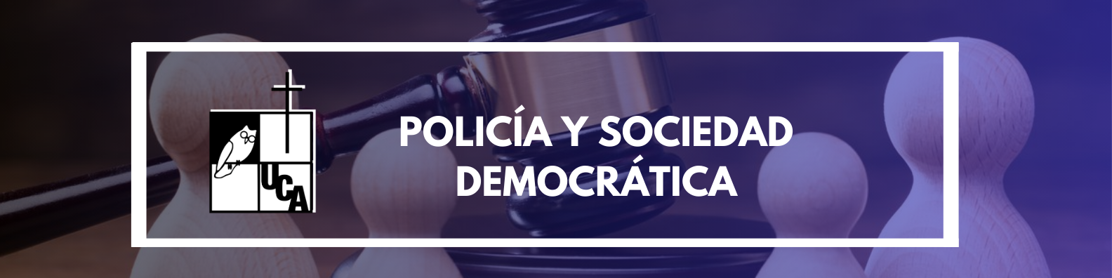 POLICIA Y SOCIEDAD DEMOCRATICA sección 01 ciclo 01/2024