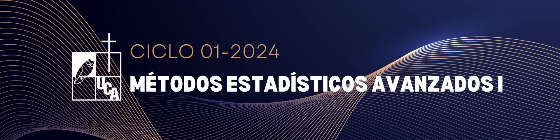 MÉTODOS ESTADÍSTICOS AVANZADOS I sección 01 ciclo 01/2024