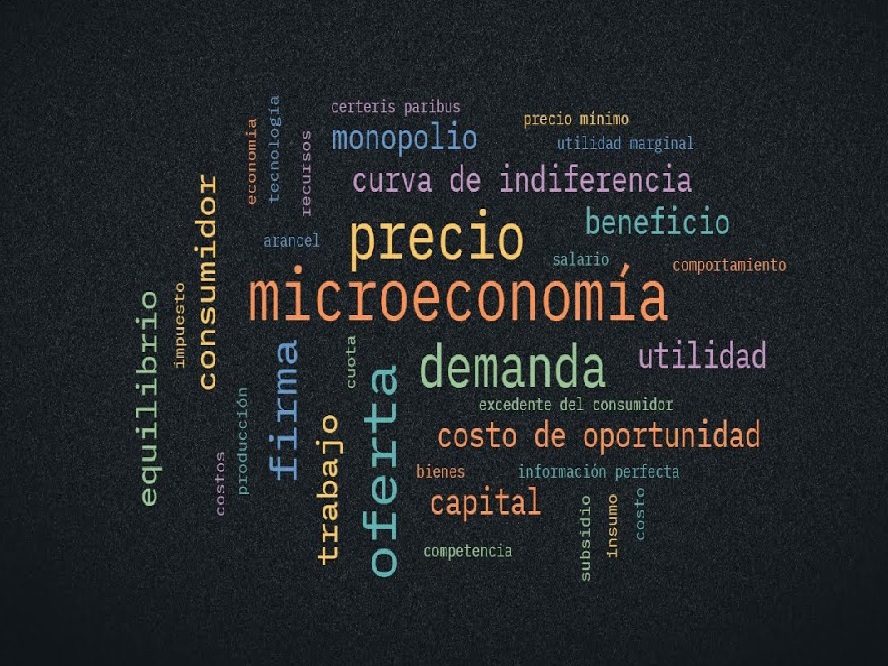 MICROECONOMIA I sección 01 ciclo 01/2024