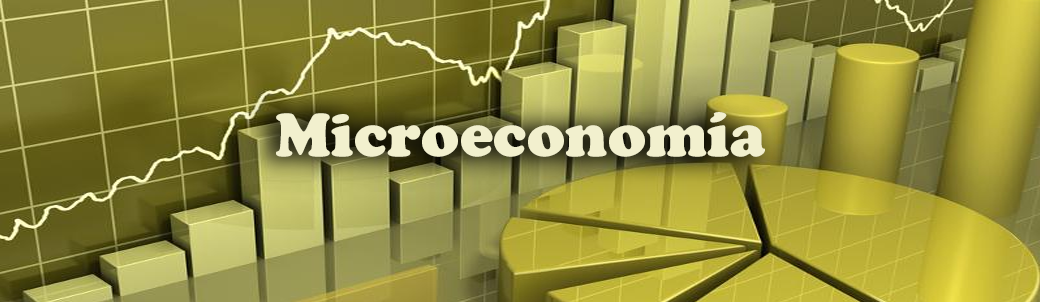 MICROECONOMIA I sección 03 ciclo 01/2024