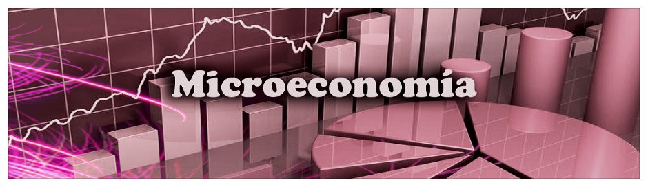 MICROECONOMIA sección 01 ciclo 01/2024