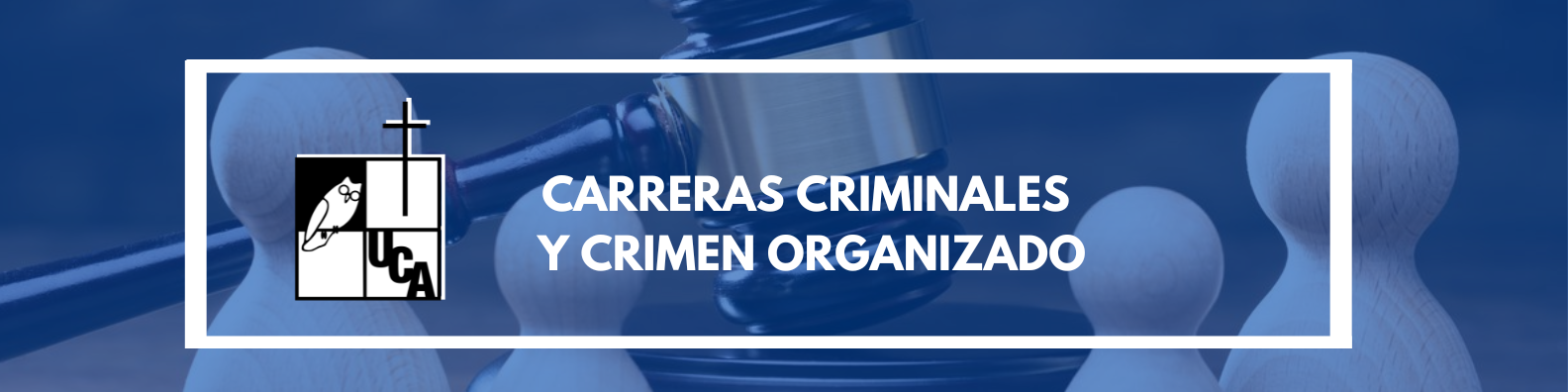 CARRERAS CRIMINALES Y CRIMEN ORGANIZADO sección 01 ciclo 02/2024