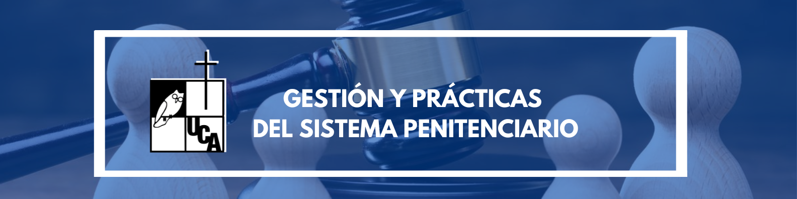 GESTION Y PRACTICAS DEL SISTEMA PENITENCIARIO sección 01 ciclo 02/2024