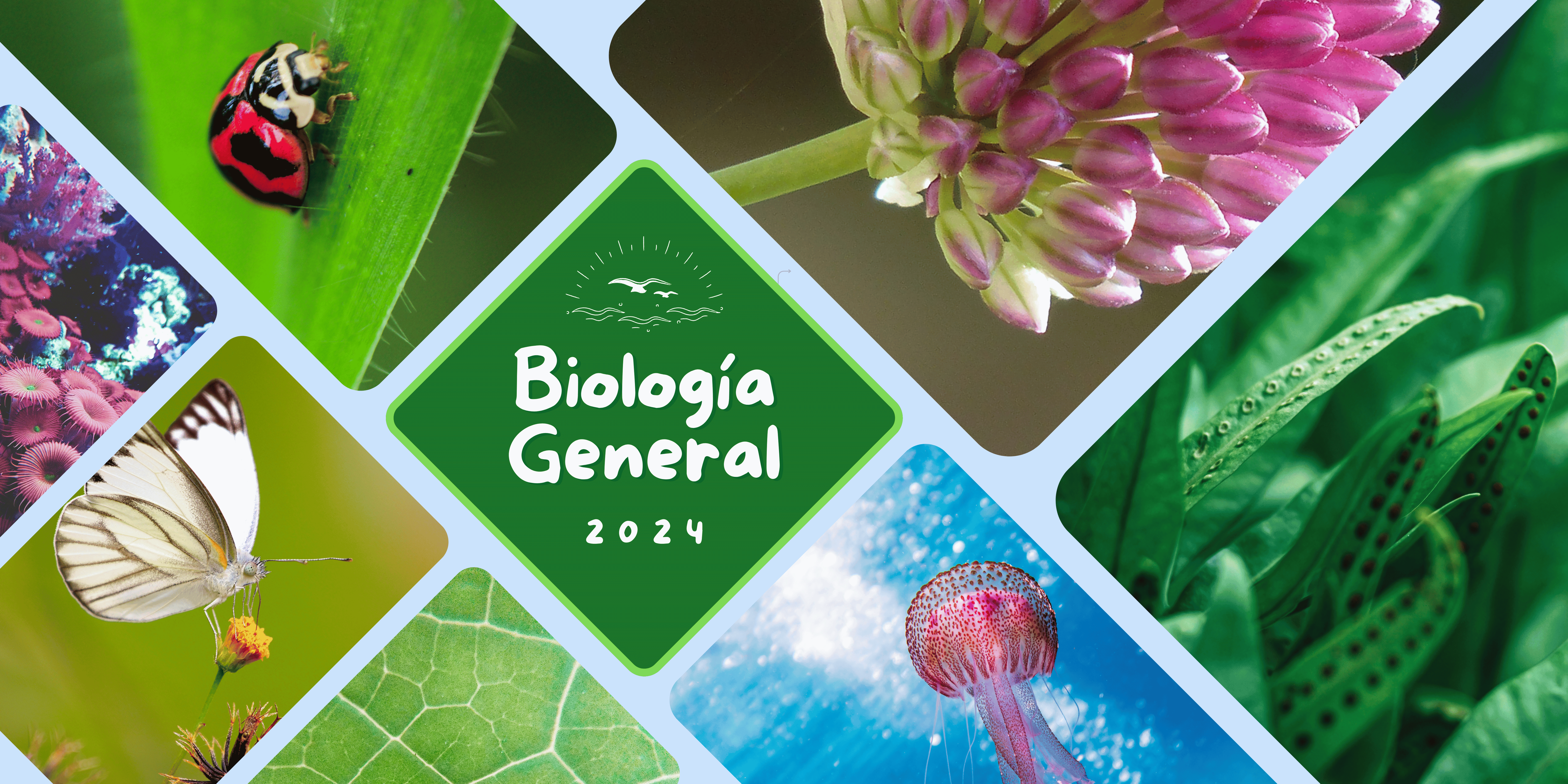 BIOLOGIA GENERAL sección 01 ciclo 02/2024