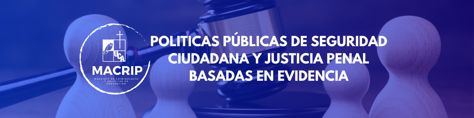 POLITICAS PÚBLICAS DE SEGURIDAD CIUDADANA Y JUSTICIA PENAL BASADAS EN EVIDENCIA sección 01 ciclo 01/2025