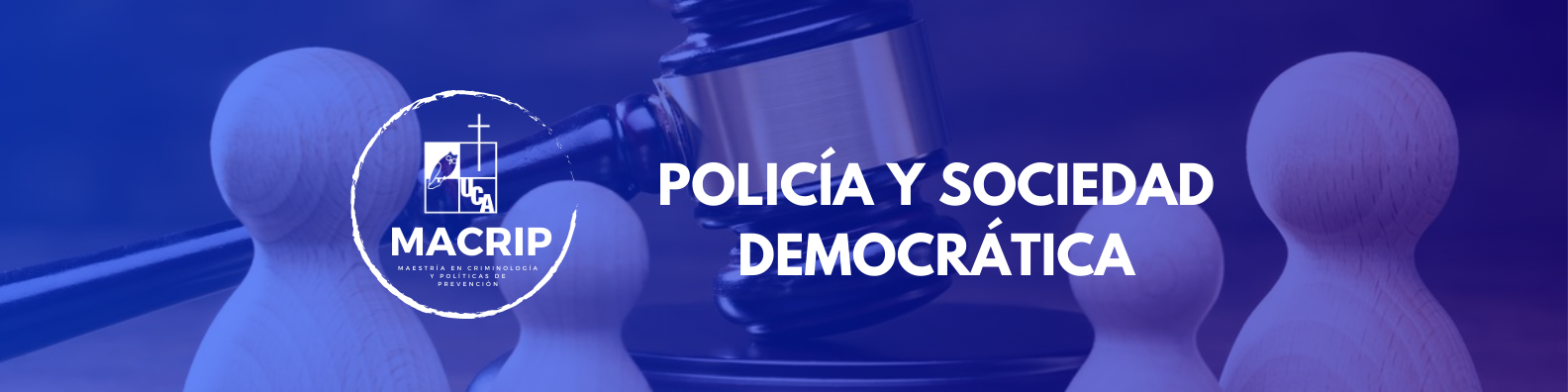 POLICIA Y SOCIEDAD DEMOCRATICA sección 01 ciclo 01/2025