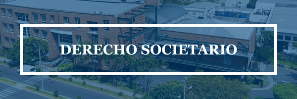 DERECHO SOCIETARIO sección 01 ciclo 01/2025