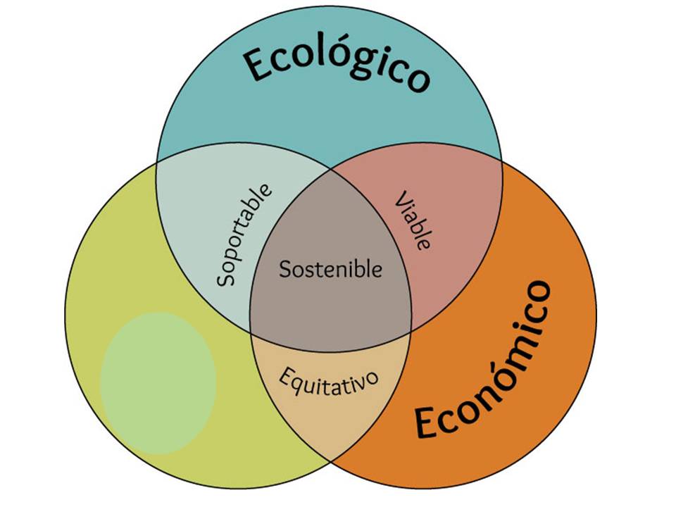 SOSTENIBILIDAD MEDIOAMBIENTAL sección 01 ciclo 01/2025