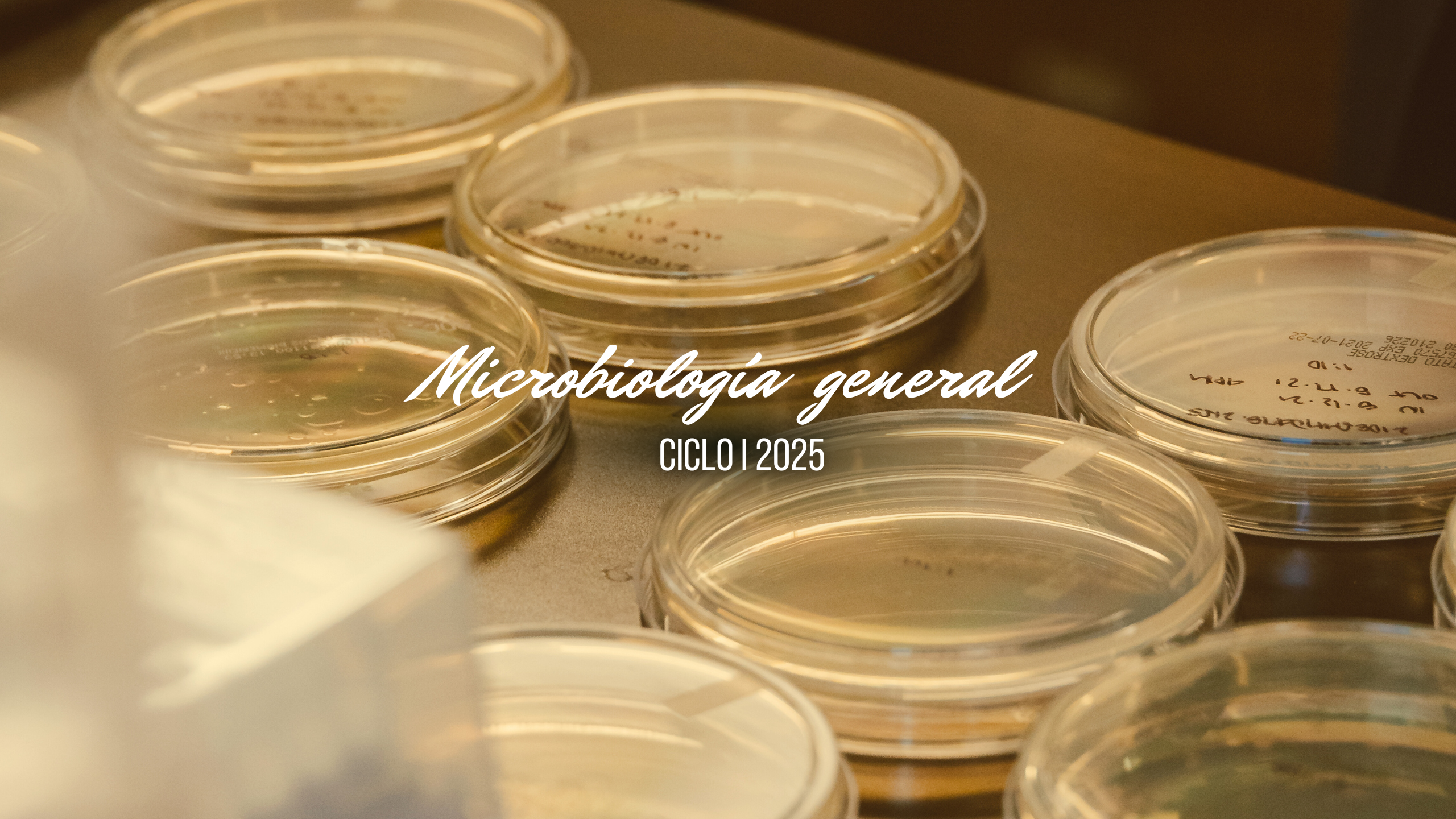 MICROBIOLOGIA GENERAL sección 01 ciclo 01/2025