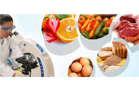 MICROBIOLOGIA DE ALIMENTOS sección 01 ciclo 01/2025