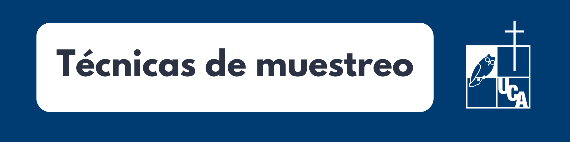 TÉCNICAS DE MUESTREO sección 01 ciclo 02/2025