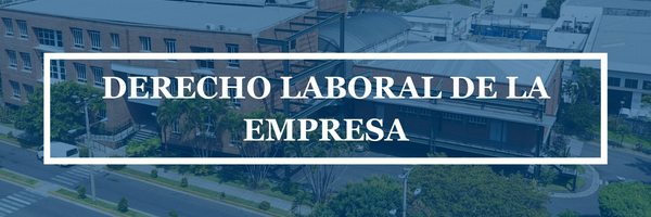 DERECHO LABORAL DE LA EMPRESA sección 01 ciclo 02/2025
