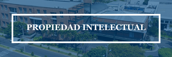 PROPIEDAD INTELECTUAL Y REGISTRO MERCANTIL sección 01 ciclo 02/2025