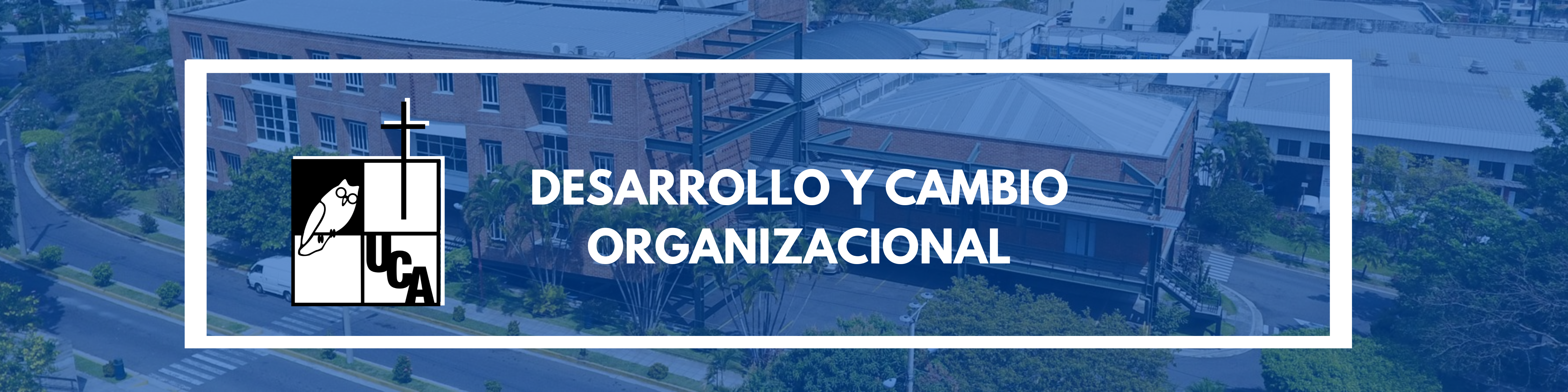 DESARROLLO Y CAMBIO ORGANIZACIONAL DE LA ADMINISTRACIÓN PÚBLICA sección 01 ciclo 02/2025