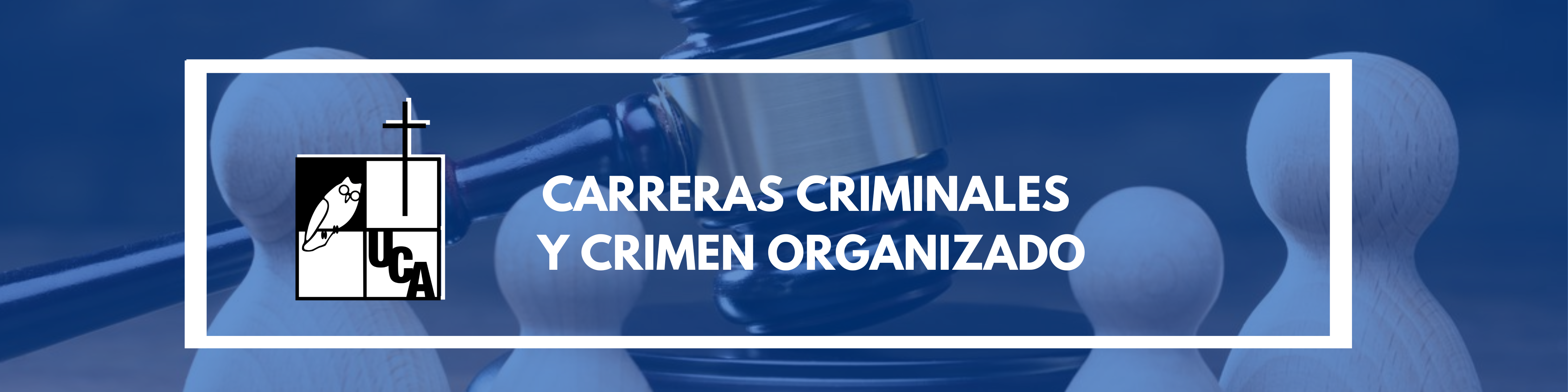 CARRERAS CRIMINALES Y CRIMEN ORGANIZADO sección 01 ciclo 02/2025