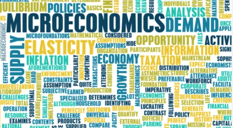 MICROECONOMIA I sección 02 ciclo 02/2025
