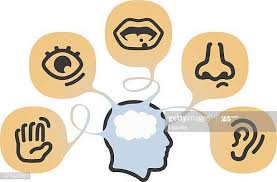 PROCESOS PSICOLOGICOS BASICOS sección 03 ciclo 02/2025