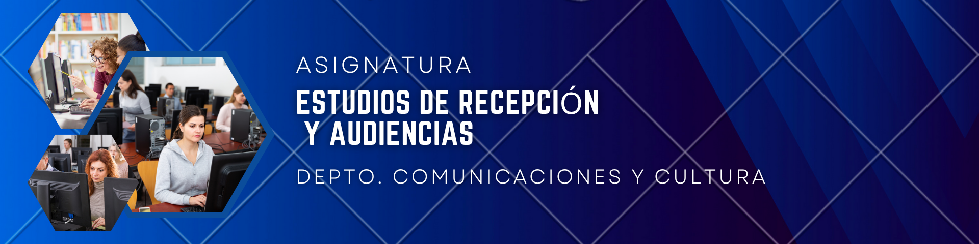 *ESTUDIOS DE RECEPCION Y AUDIENCIAS sección 01 ciclo 02/2025