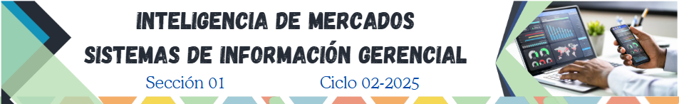 SISTEMAS DE INFORMACION GERENCIAL / INTELIGENCIA DE MERCADOS sección 01 / 01 ciclo 02/2025