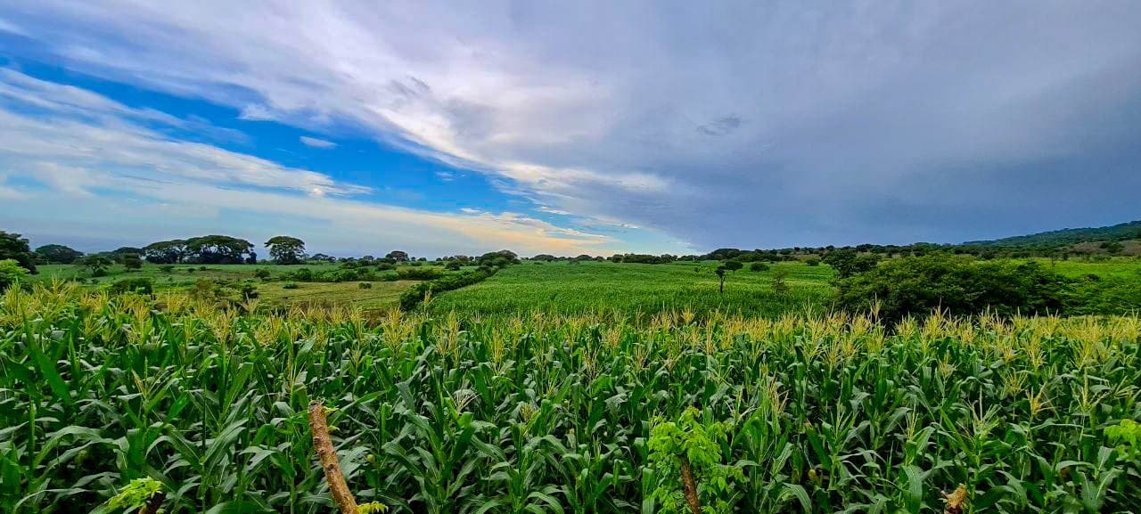 Defensa del territorio y paisaje agrícola | Edición #2